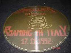 Metallica : Roaming in Italy